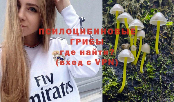 ПСИЛОЦИБИНОВЫЕ ГРИБЫ Кодинск