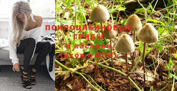 ПСИЛОЦИБИНОВЫЕ ГРИБЫ Кодинск