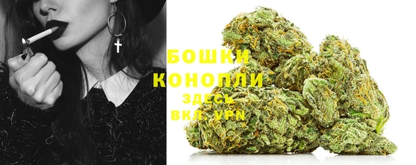 ПСИЛОЦИБИНОВЫЕ ГРИБЫ Кодинск