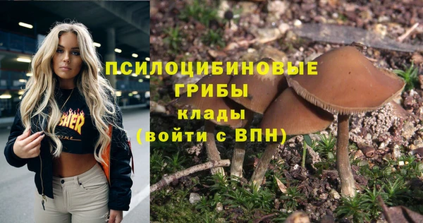 синтетический гашиш Козельск