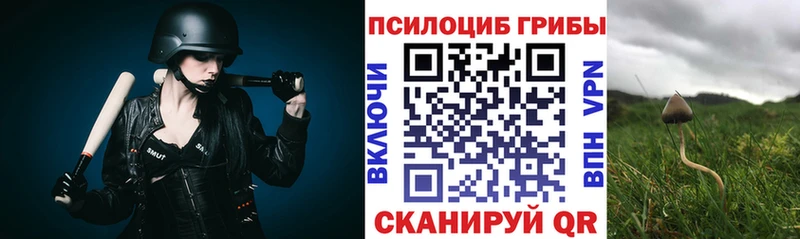 Псилоцибиновые грибы ЛСД  Купить закладки  Петрозаводск 